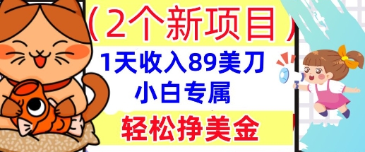 2个新项目，轻松挣美金， 1天收入89美刀，小白专属，干货分享-青年云网创—高质量项目商城